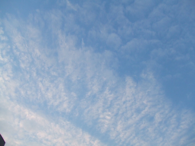 f:id:oinor-i:20190120132139j:plain