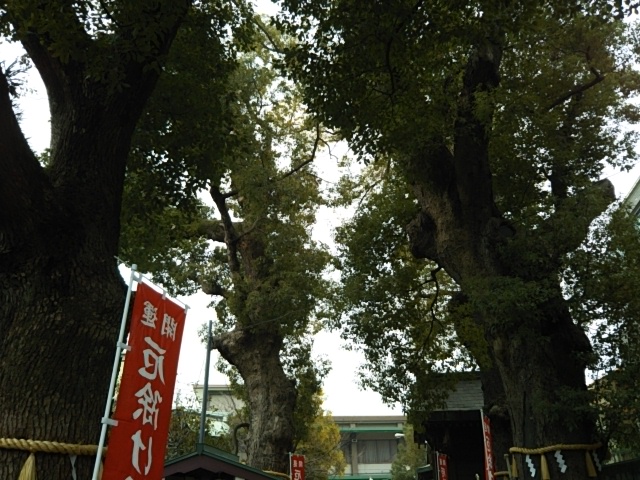 f:id:oinor-i:20190214140157j:plain