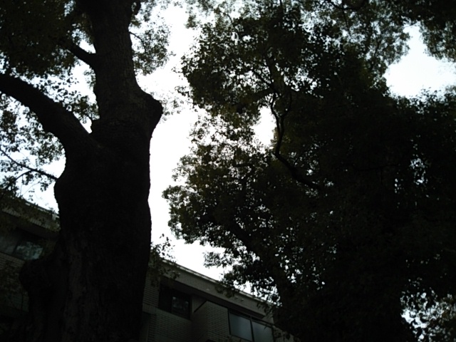 f:id:oinor-i:20190214140454j:plain