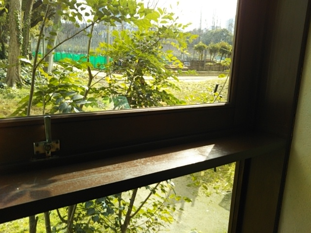 f:id:oinor-i:20190225141019j:plain