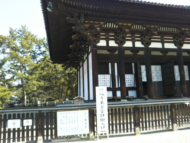 f:id:oinor-i:20190227105812j:plain