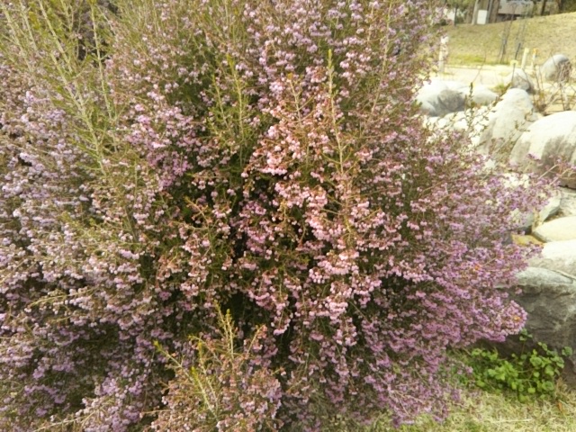 f:id:oinor-i:20190228134311j:plain f:id:oinor-i:20190228134311j:plain
