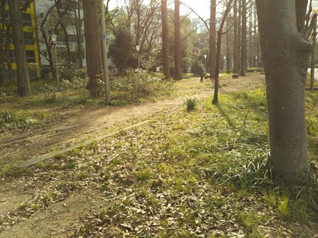 f:id:oinor-i:20190301143045j:plain