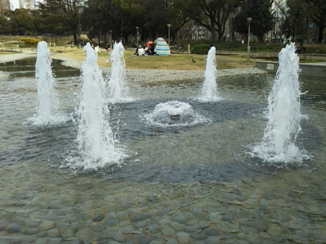 f:id:oinor-i:20190301143142j:plain