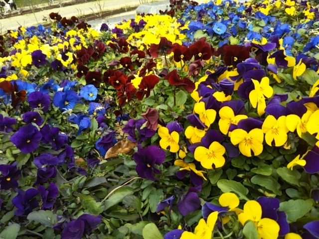 f:id:oinor-i:20190301143238j:plain