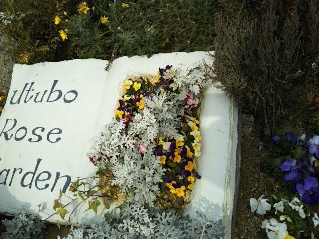 f:id:oinor-i:20190301143249j:plain