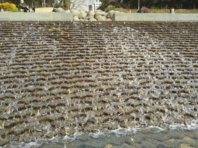 f:id:oinor-i:20190301143437j:plain