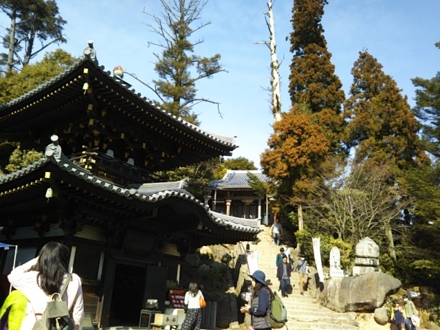 f:id:oinor-i:20190309113627j:plain