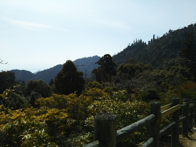f:id:oinor-i:20190309113723j:plain