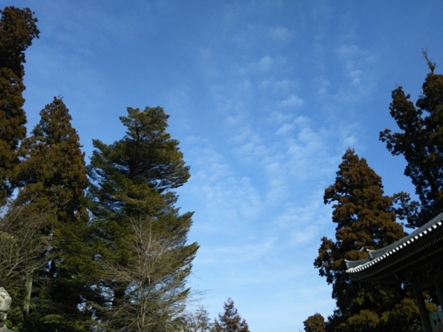 f:id:oinor-i:20190309113802j:plain