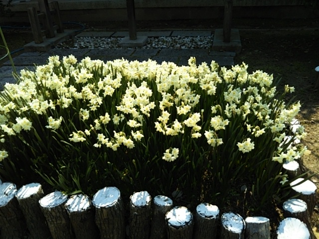 f:id:oinor-i:20190319111349j:plain