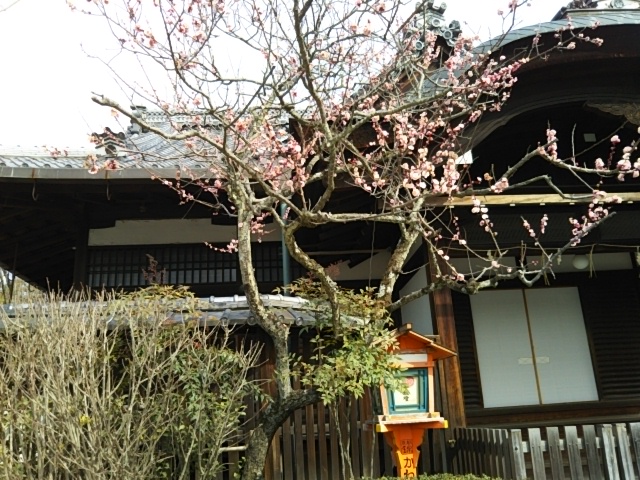 f:id:oinor-i:20190319111735j:plain