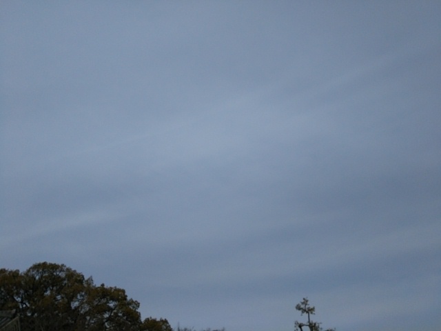 f:id:oinor-i:20190322194244j:plain f:id:oinor-i:20190322194244j:plain