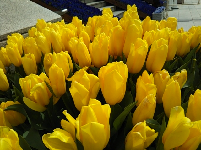f:id:oinor-i:20190419091845j:plain f:id:oinor-i:20190419091845j:plain