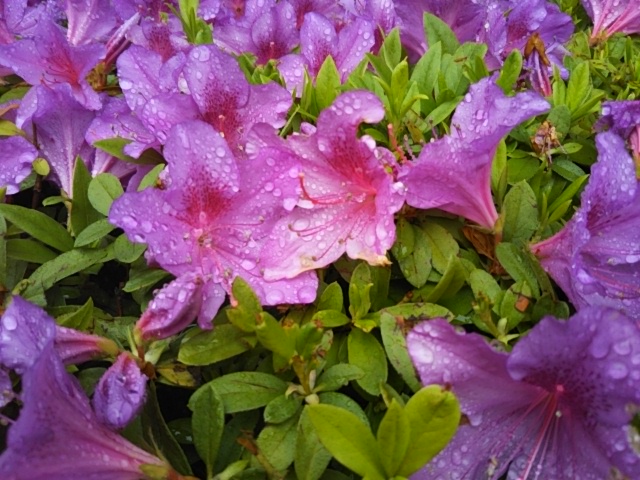 f:id:oinor-i:20190501105339j:plain