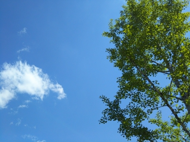 f:id:oinor-i:20190507113929j:plain