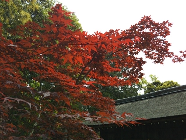 f:id:oinor-i:20190510163427j:plain f:id:oinor-i:20190510163427j:plain