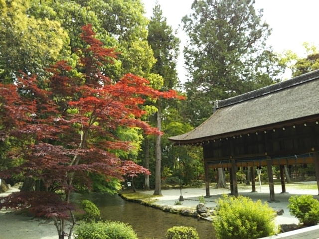 f:id:oinor-i:20190510163437j:plain f:id:oinor-i:20190510163437j:plain