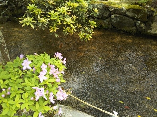 f:id:oinor-i:20190510163445j:plain f:id:oinor-i:20190510163445j:plain
