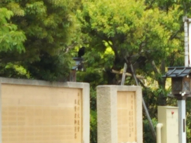 f:id:oinor-i:20190517161032j:plain