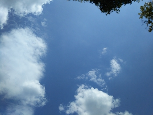 f:id:oinor-i:20190517161039j:plain