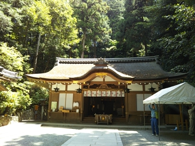 f:id:oinor-i:20190517161227j:plain