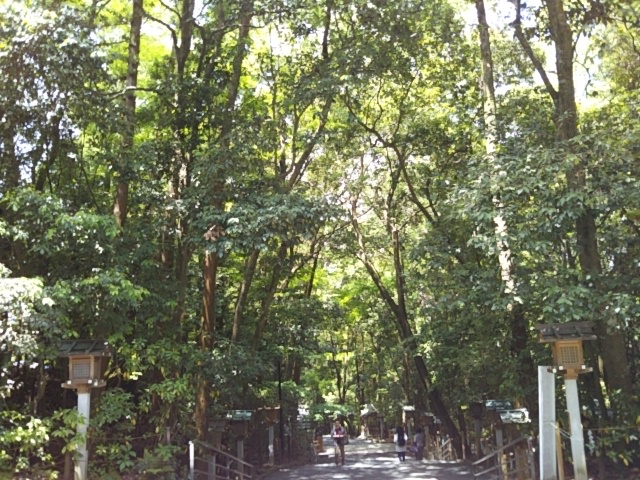 f:id:oinor-i:20190517161442j:plain
