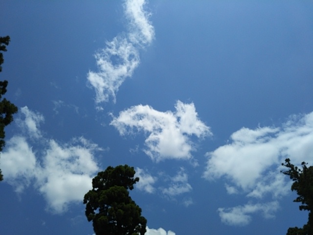 f:id:oinor-i:20190517161615j:plain