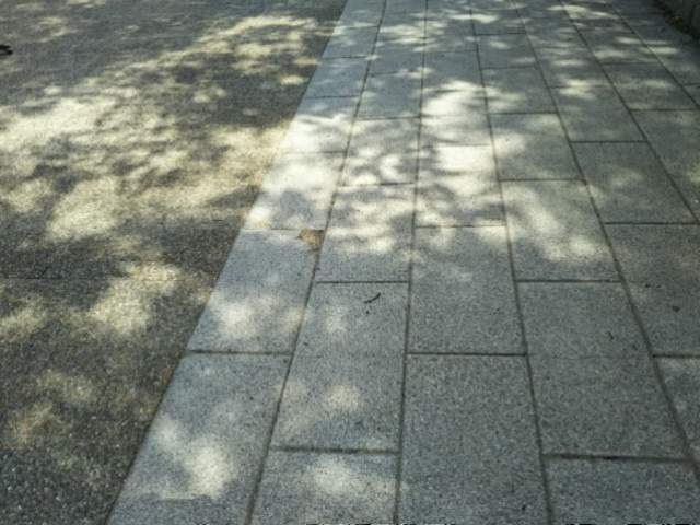 f:id:oinor-i:20190531122703j:plain
