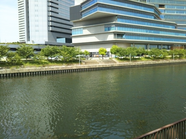 f:id:oinor-i:20190531122752j:plain