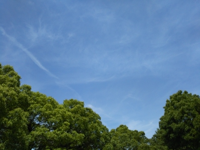 f:id:oinor-i:20190531122903j:plain