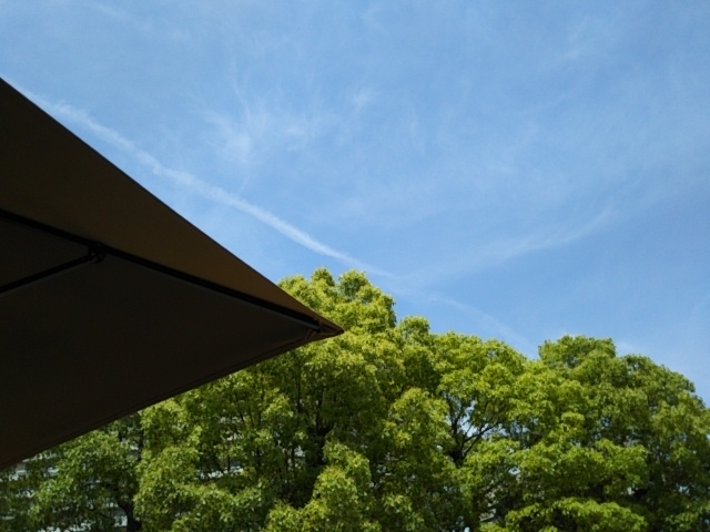 f:id:oinor-i:20190531123024j:plain