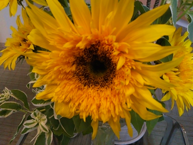 f:id:oinor-i:20190606120340j:plain