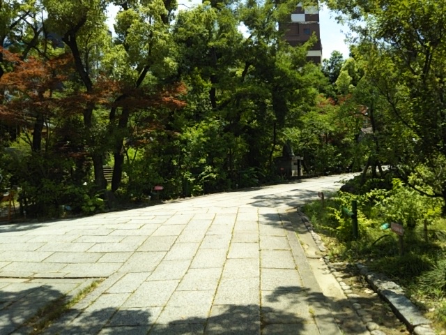 f:id:oinor-i:20190609125159j:plain