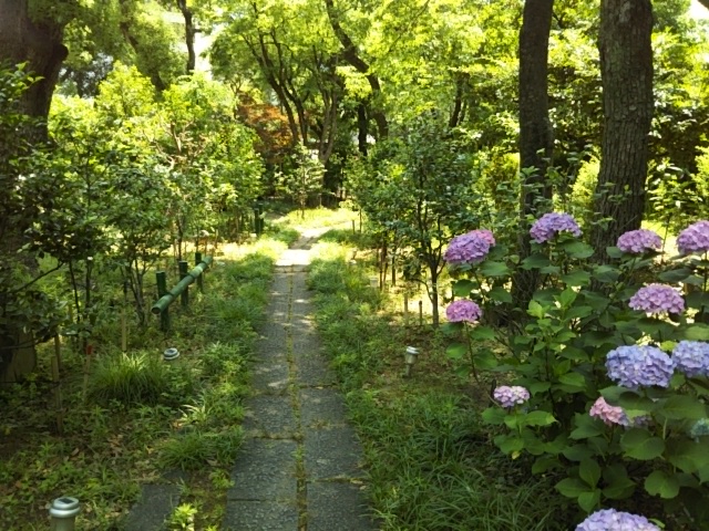 f:id:oinor-i:20190609125230j:plain