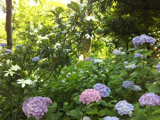 f:id:oinor-i:20190609125257j:plain