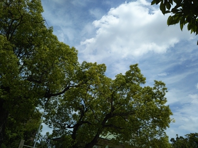 f:id:oinor-i:20190609125428j:plain f:id:oinor-i:20190609125428j:plain
