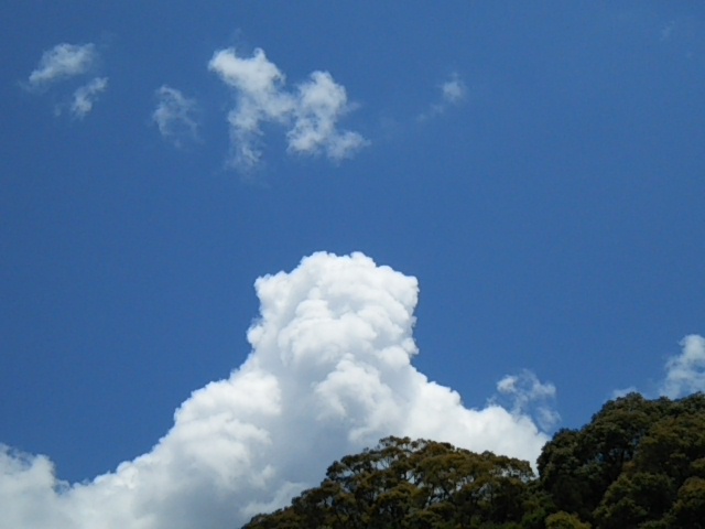 f:id:oinor-i:20190613145739j:plain