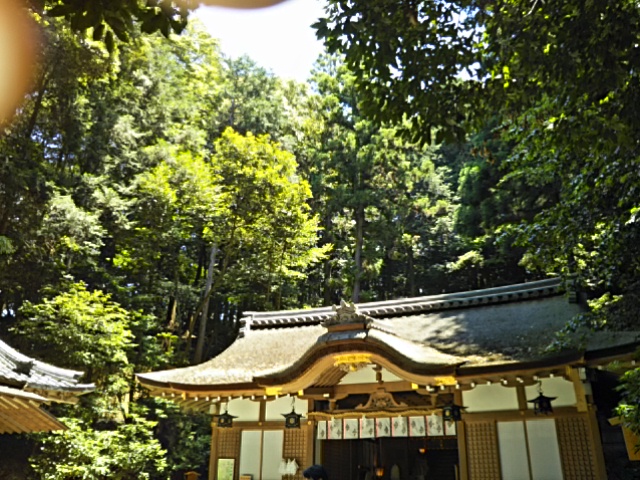 f:id:oinor-i:20190613145759j:plain
