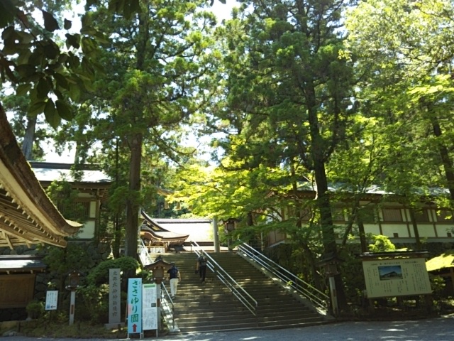 f:id:oinor-i:20190613145947j:plain