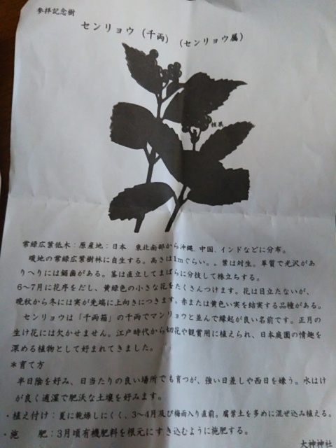 f:id:oinor-i:20190613171542j:plain