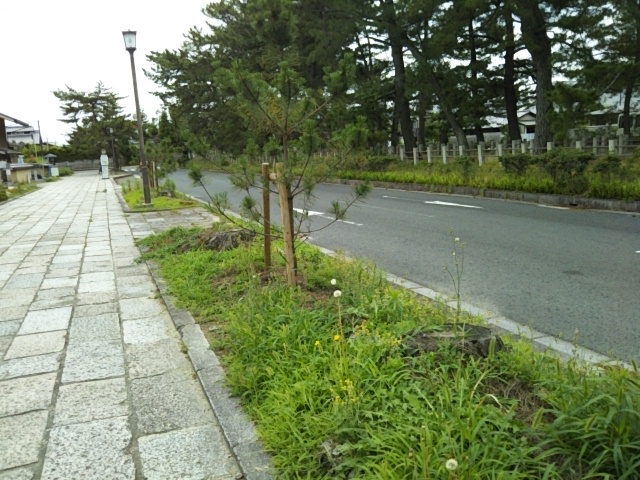 f:id:oinor-i:20190617150855j:plain