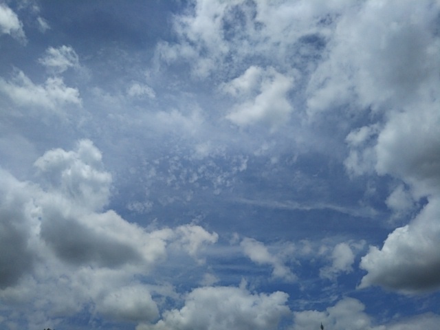 f:id:oinor-i:20190617150925j:plain