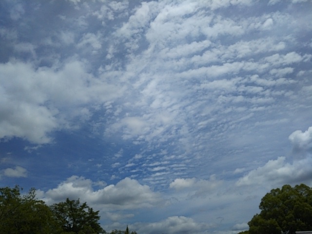 f:id:oinor-i:20190617151044j:plain