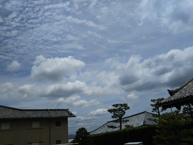 f:id:oinor-i:20190617151240j:plain