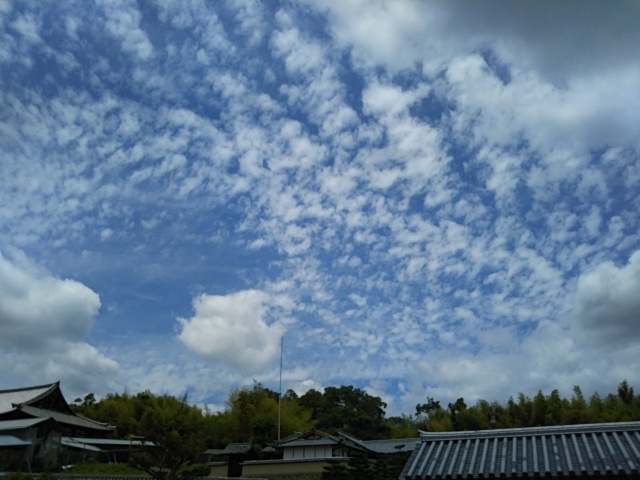 f:id:oinor-i:20190617151341j:plain