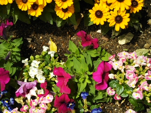 f:id:oinor-i:20190617151749j:plain