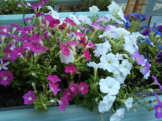 f:id:oinor-i:20190818185447j:plain