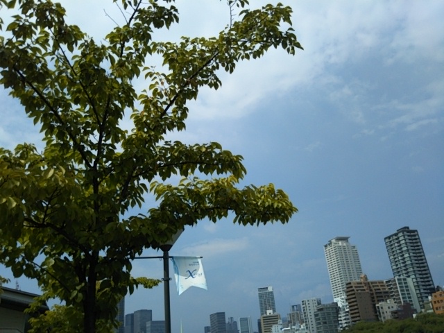 f:id:oinor-i:20190826102257j:plain