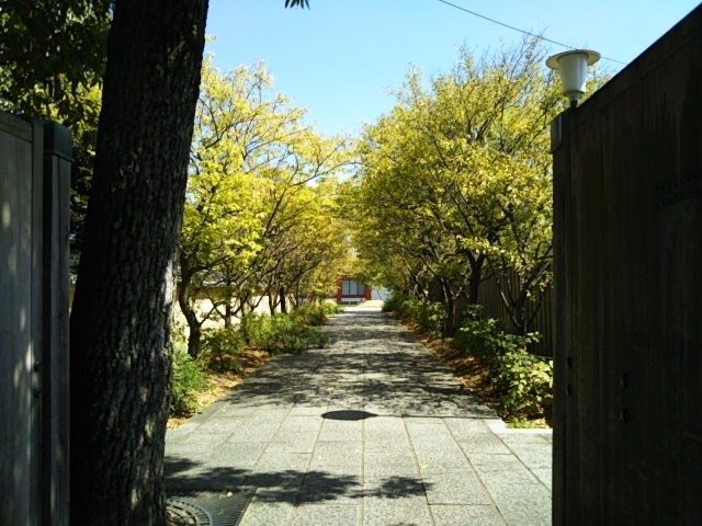 f:id:oinor-i:20190919135255j:plain